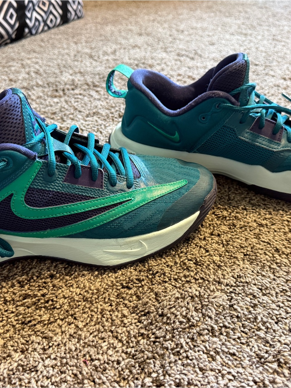 Nike Teal & Purple Running Shoes